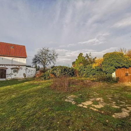 Apartment In Herrenhaus Gross Pinnow Экстерьер фото